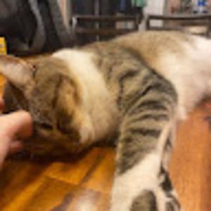 Meet your Posher, Brenna